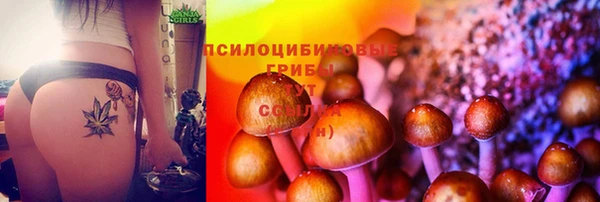 2c-b Абаза